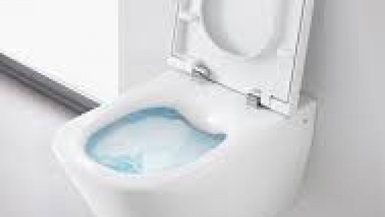 Best Rimless Water Closet Designs at Online