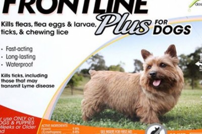 Buy Frontline Plus for Dogs | Free Shipping - BudgetPetWorld