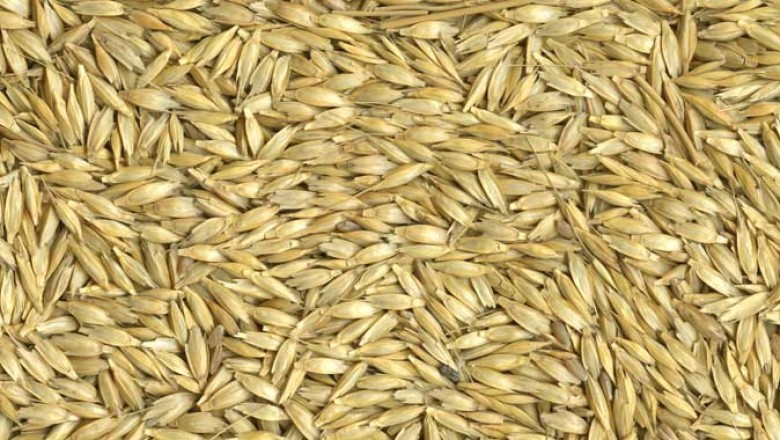 Einkorn Wheat Market to Observe Strong Development by 2026
