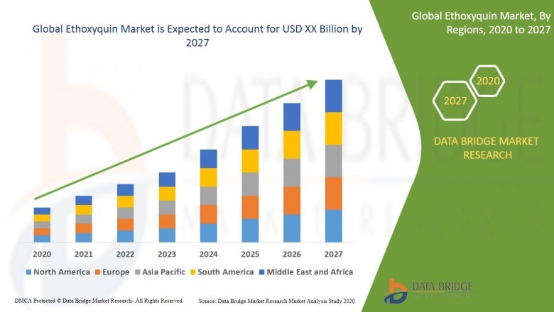 Ethoxyquin Market: Opportunities and Challenges