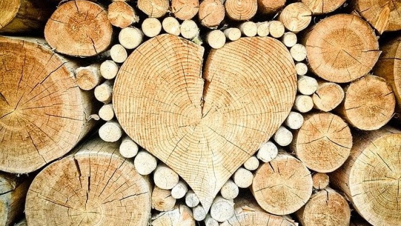 Firewood for Sale: Finding Suppliers for Firewood Delivery