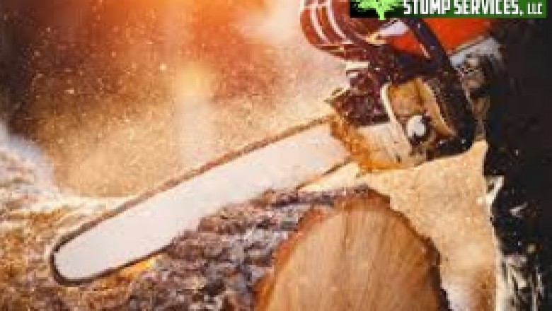 Tree Removal Picayune | Acadian Tree and Stump Removal Service