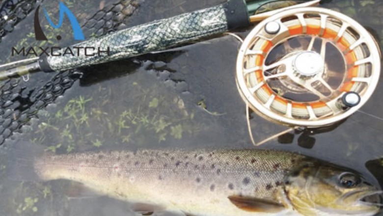 Best Polarized Fly Fishing Sunglasses