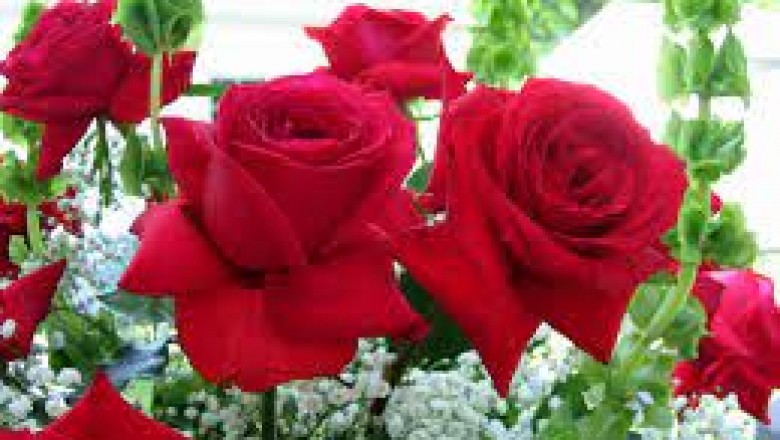 Buy Best Online Flower Delivery From MyFlowerTree