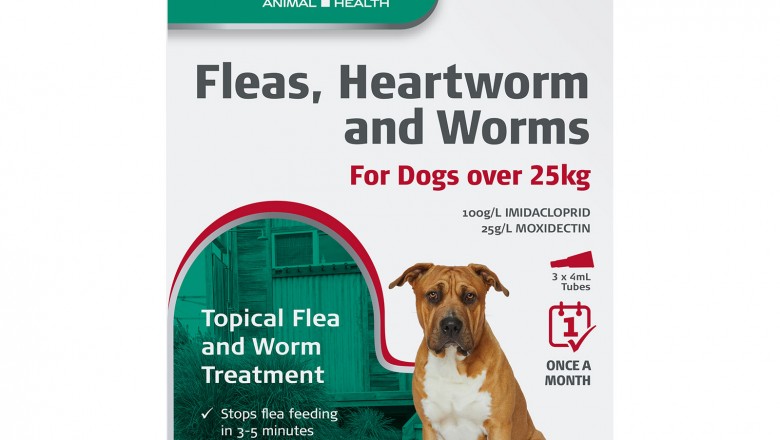 Buy Aristopet Spot-On Treatment For Dogs Over 25Kg Red | DiscountPetCare