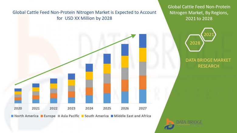 cattle Feed Non-Protein Nitrogen Market : Trends by Countries, Types and Applications And Forecast To 2028