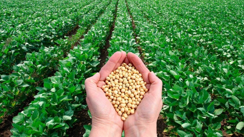 The weather/climatic conditions are major factors that affect the demand and sale of Agricultural Micronutrients