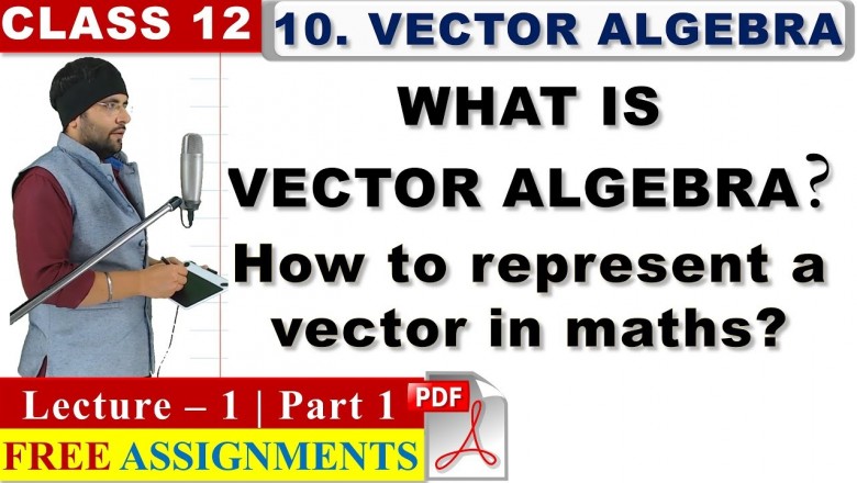 Vector Algebra Class 12 Maths IIT JEE Mains
