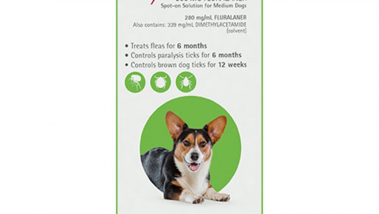 Buy Bravecto Spot On For Medium Dogs 10-20 Kg Green | DiscountPetCare