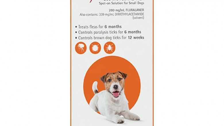 Buy Bravecto Spot On For Small Dogs 4.5-10 Kg Orange | DiscountPetCare