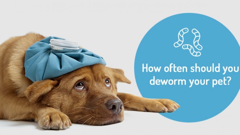 How often should you deworm your pet?