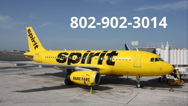 ¿Cómo llamar a Spirit Airlines desde Honduras?