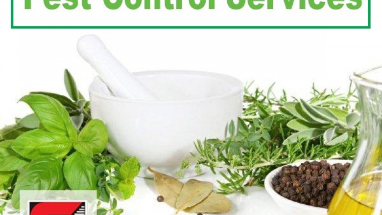 Pest Control Services in Bandra by Sadguru Pest Control