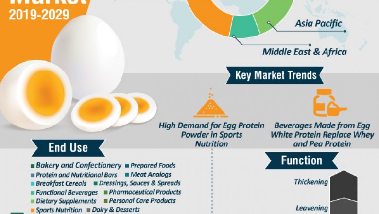 Global Business Opportunities of Egg Protein Market