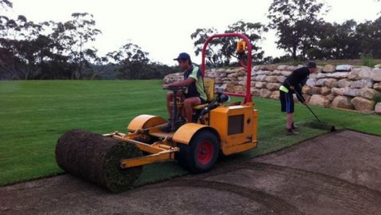 Selecting the Right Couch Turf Grass for Your Lawn Areas