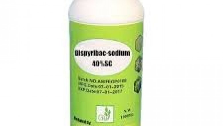 Bispyribac Sodium Market Outlook And Opportunities In Grooming Regions