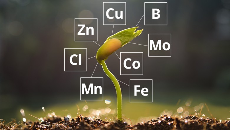 Global and Japan Crop Micronutrient Market Insights, Forecast to 2027