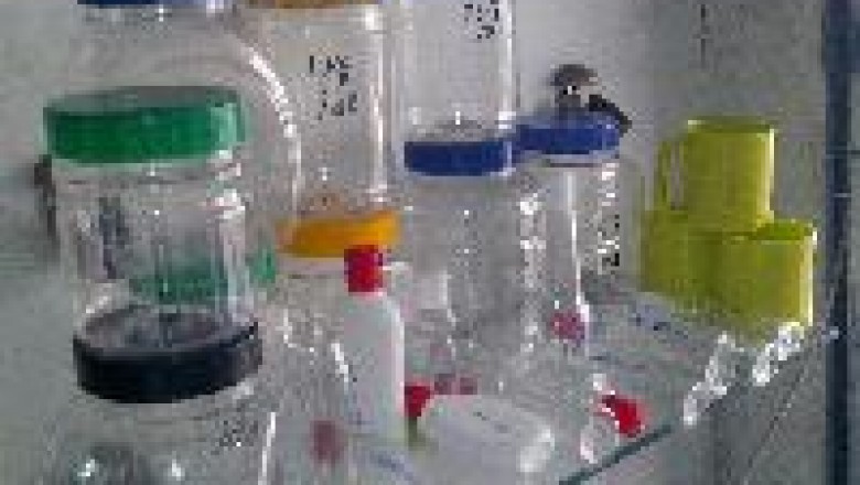 Plastic Packaging Manufacturers