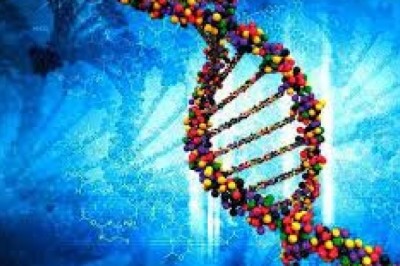Genome Engineering Market  Development, Top Trends And Future Scope With Upcoming Opportunities