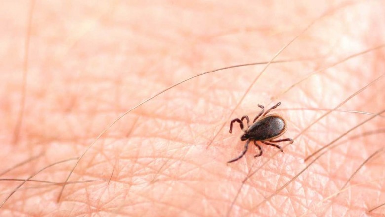 Lyme Disease Treatment Market – Increasing prevalence of the diseases is expected to fuel the Demand 2025