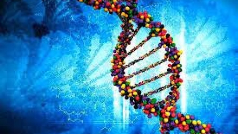 Adoption Of Genome Engineering Market To Increase Across Top Countries In The Globe During 2025