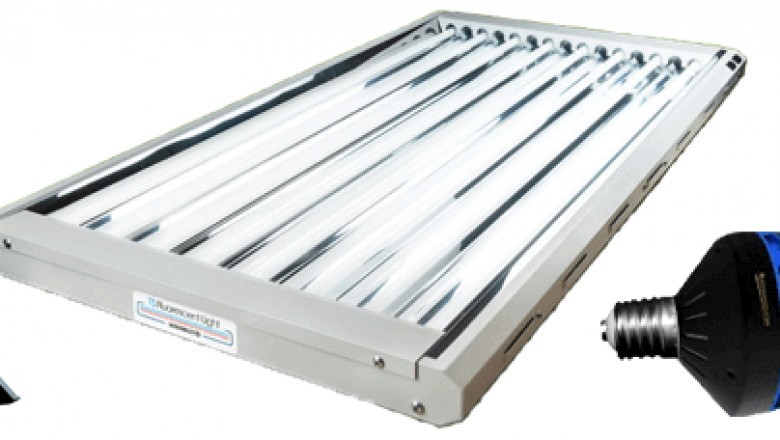 How Is Hydroponics Different From Aeroponics?