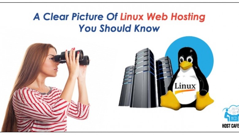 A clear picture of Linux Web Hosting you should know | Host Cafe Day
