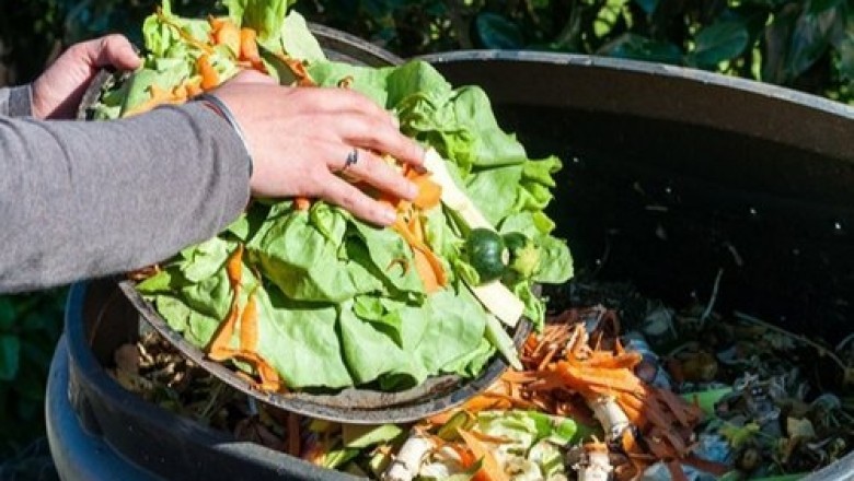 Global Food Waste Management Market Report 2020 - Market Size, Share, Price, Trend and Forecast
