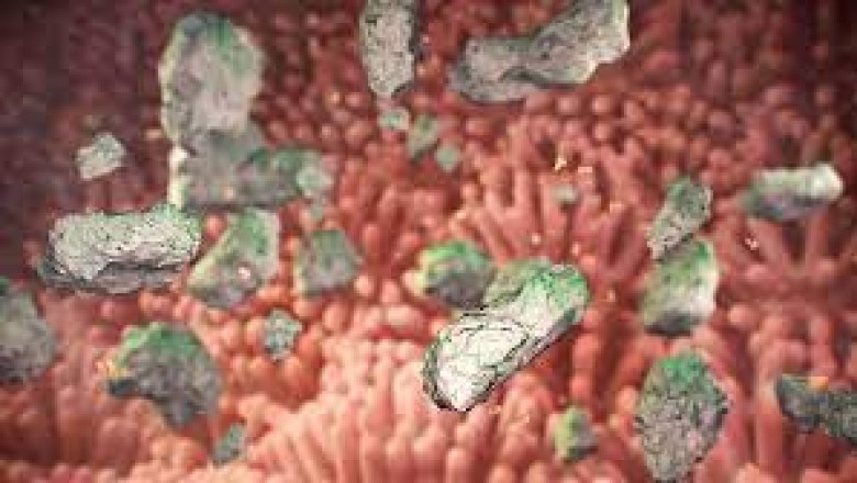 Mycotoxin Binders Market Dynamics and Competitive Scenario through 2026