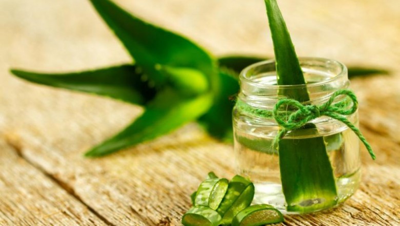 Plant Extracts Have Been Used for Centuries to Treat a Variety of Conditions and Ailments