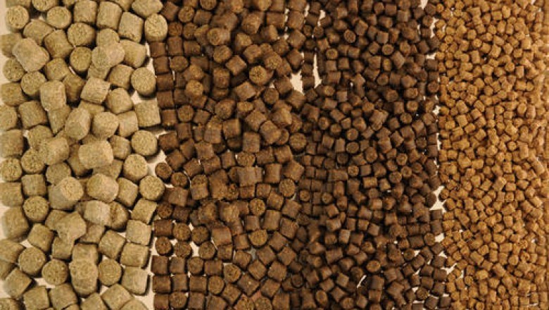 Global Fish Feeds Market Research Report 2021