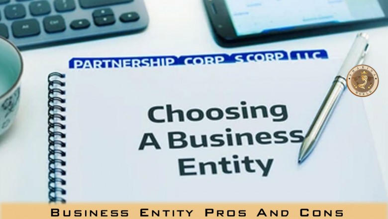 Business Entity Pros And Cons - CPA Clinics