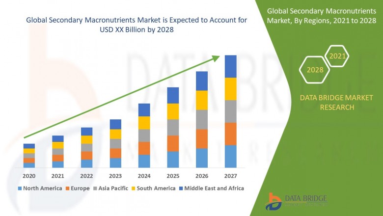 Global Secondary Macronutrients Market – Industry Trends and Forecast to 2028