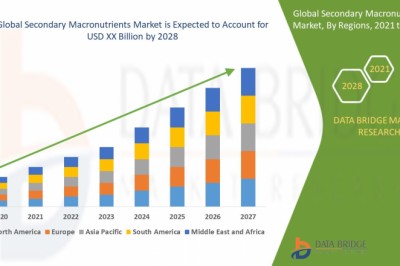 Global Secondary Macronutrients Market – Industry Trends and Forecast to 2028