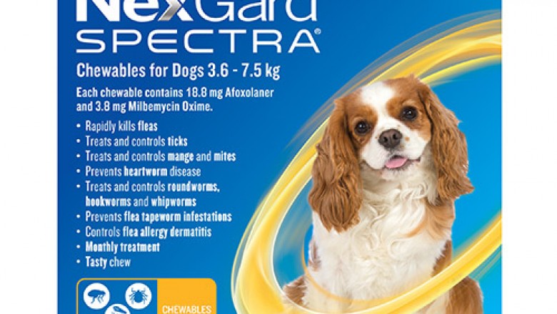 Nexgard Spectra For Small Dog Online | DiscountPetCare