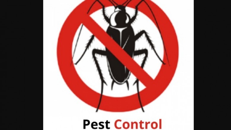 Why You will need Specialists For Pest Control