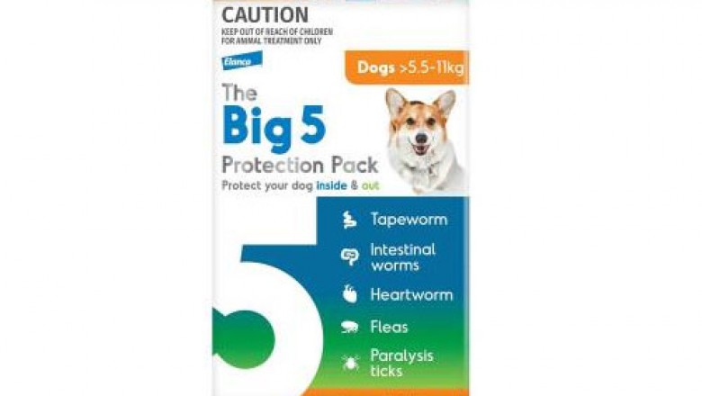 Big 5 Protection Pack For Medium Dogs 5.5-11 Kg Orange | DiscountPetCare