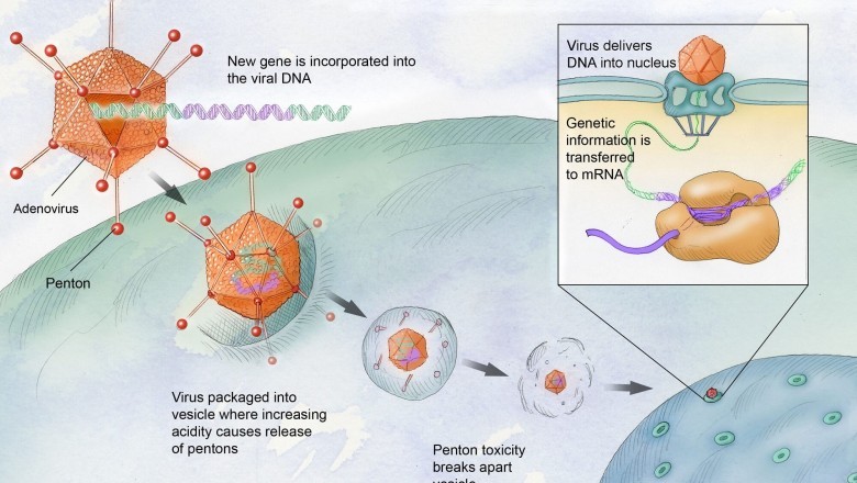 China Hemophilia Gene Therapy Market Report & Forecast 2021-2027