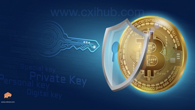 How to Protect Your Bitcoins and Altcoins From Theft with a Private Key and Public Key