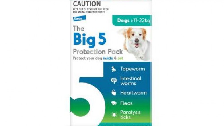 Big 5 Protection Pack For Large Dogs 11-22 Kg Green | DiscountPetCare