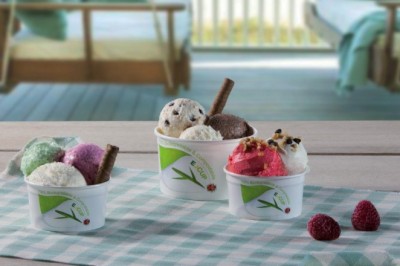 Europe Biodegradable Foodservice Disposable Industries Are Growing Rapidly With A Focus On Reducing Plastic Waste And Improving Packaging Sustainability