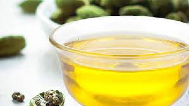 Global Industry Analysis of Sulfated Castor Oil