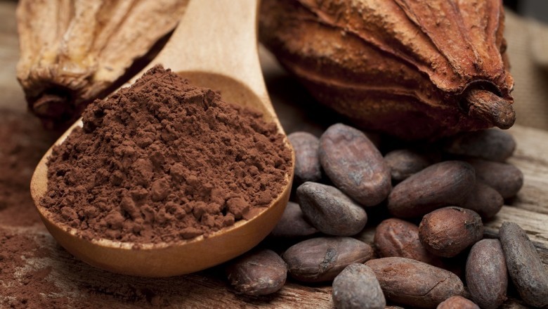 Global Soluble Cocoa Fiber Sales Market Report 2021