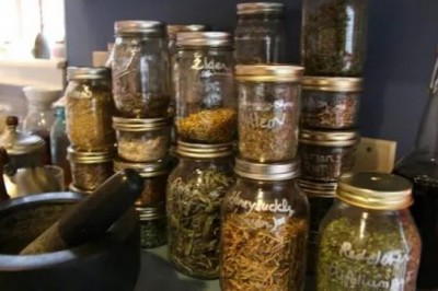 Herbs In Pakistan - Reasons to Choose Pakistani herbs