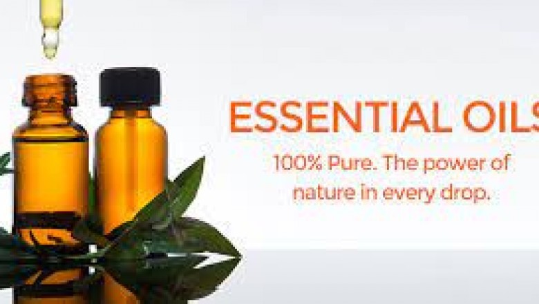 Is it possible to purchase high-quality essential oils wholesale?
