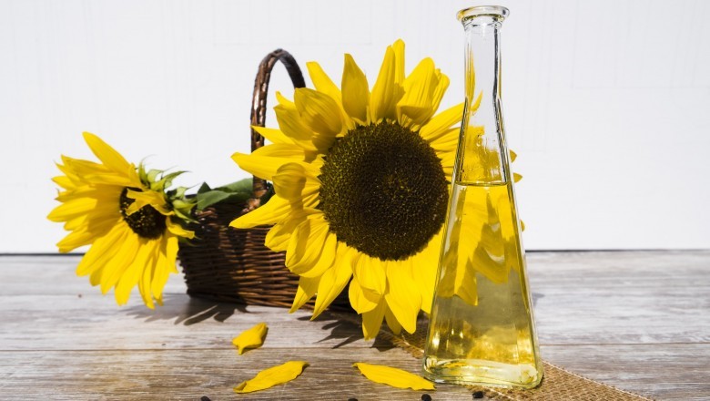 Sunflower Oil Market - Global Industry Analysis 2025
