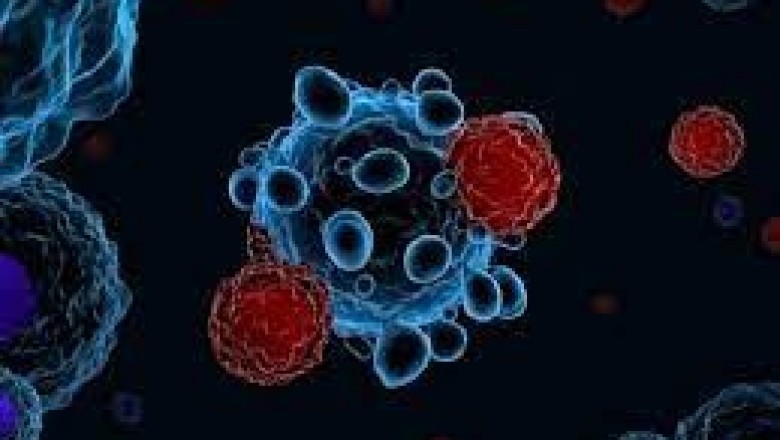 The Lentivirus Is Used In Gene Transfer Techniques To Deliver The Desired Genes Into Cells With The Assistance Of Lentiviral Vectors