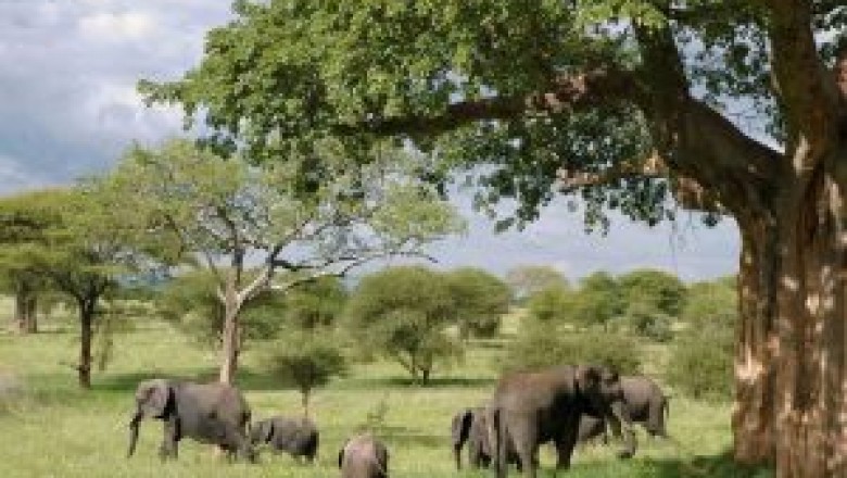 Mac.ma – Magazine d'actualités