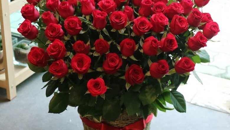 Send Flowers to Hyderabad to Impress Her