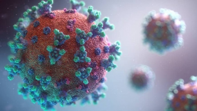 Covid 19; these variants that are spreading around the world